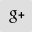 Google+ icon