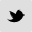 Twitter icon